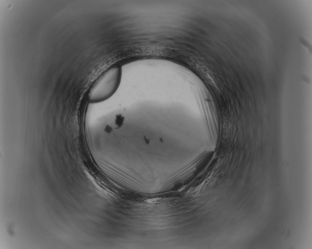 X0000097830674200804041422