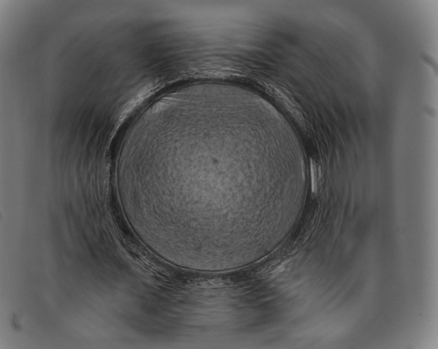 X0000097830675200804041422