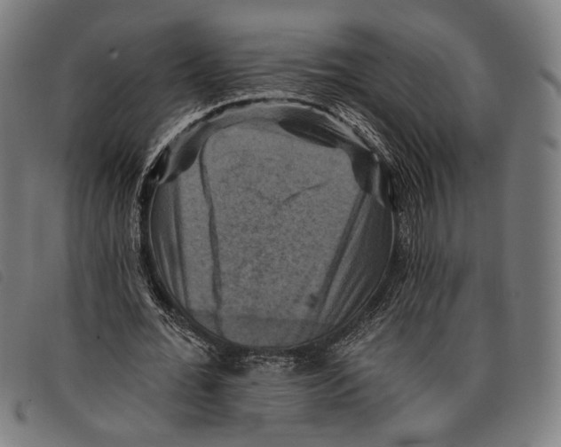 X0000097830676200804041422