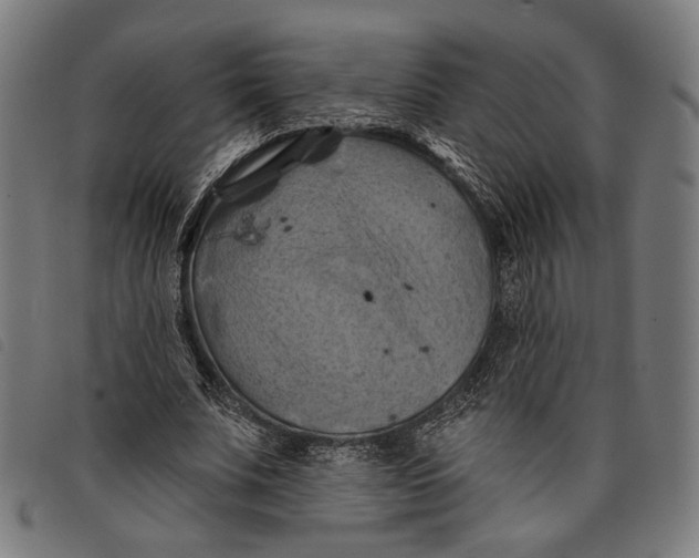 X0000097830679200804041422