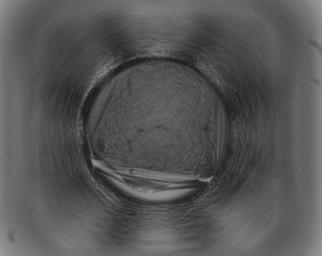 X0000097830680200804041422