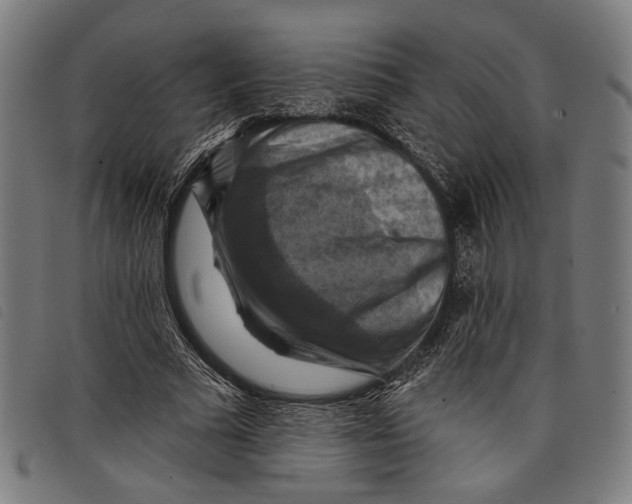 X0000097830681200804041422