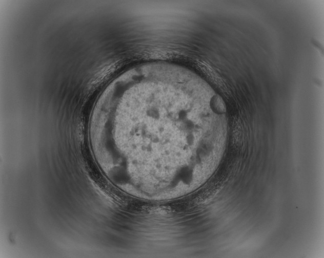 X0000097830683200804041422