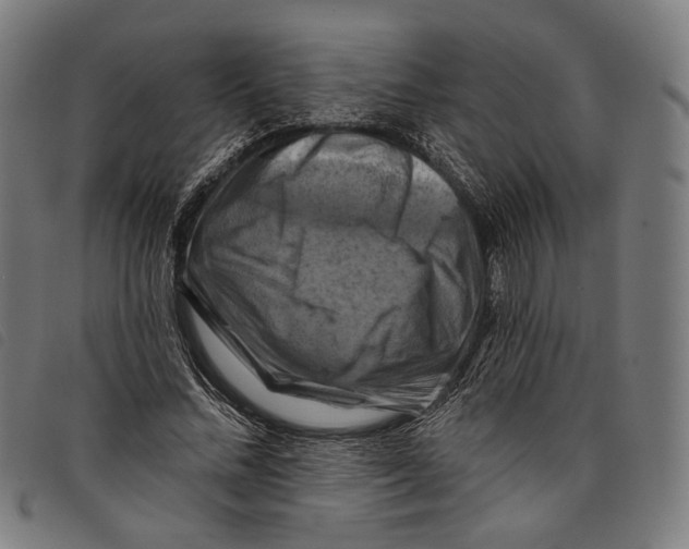 X0000097830684200804041421