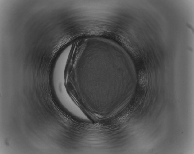 X0000097830685200804041421