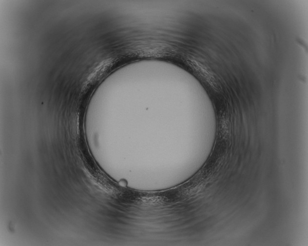 X0000097830686200804041421