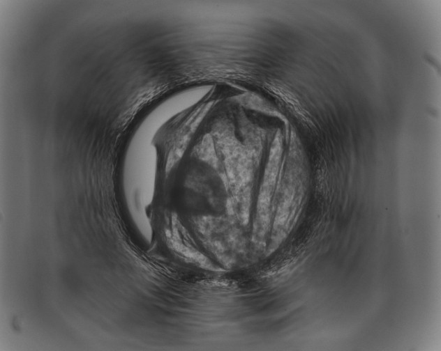 X0000097830687200804041421