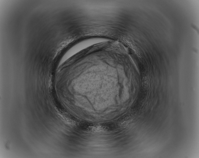 X0000097830688200804041421