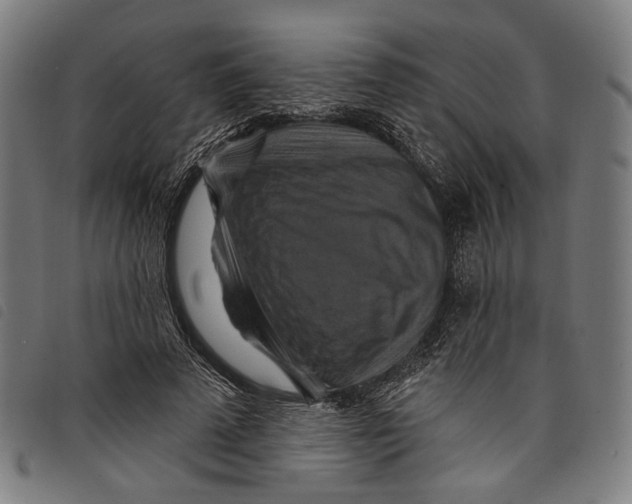 X0000097830689200804041421