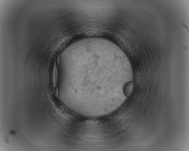 X0000097830690200804041421