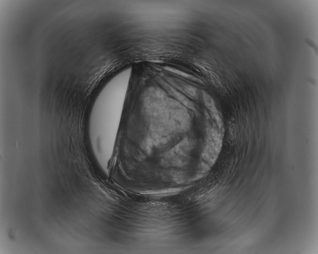 X0000097830691200804041421