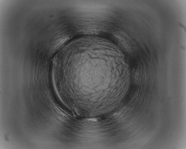 X0000097830692200804041421