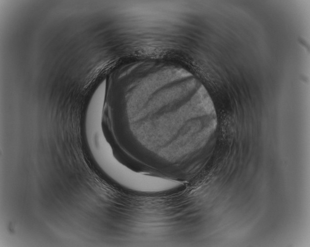 X0000097830693200804041421