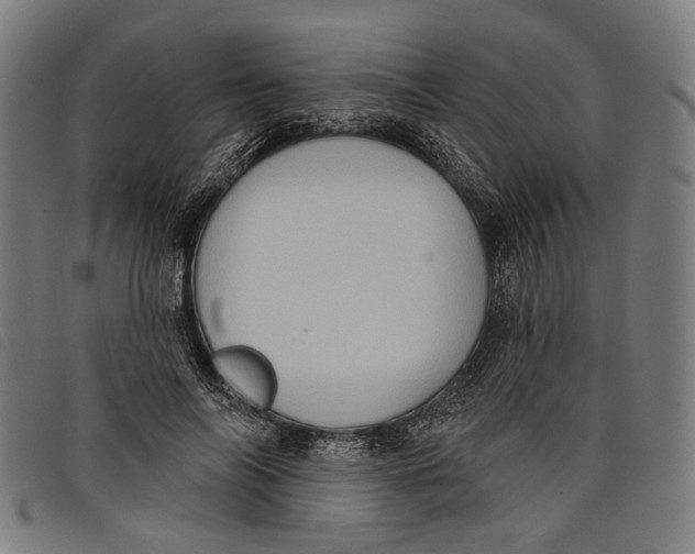 X0000097830694200804041421