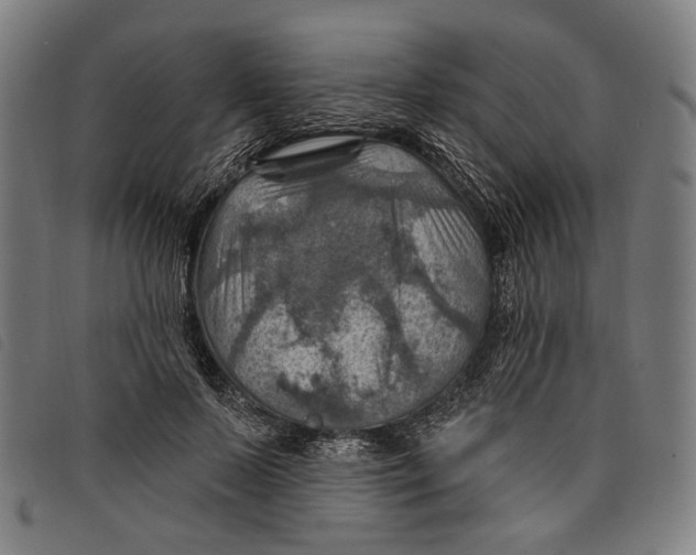 X0000097830695200804041421