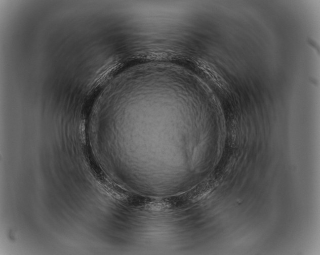 X0000097830696200804041421