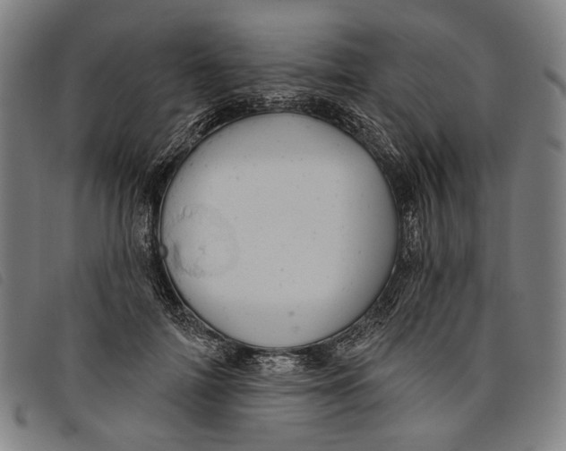 X0000097830698200804041421