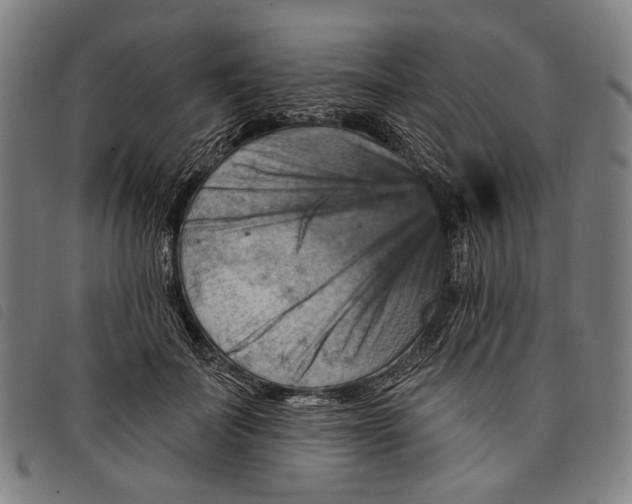 X0000097830699200804041421