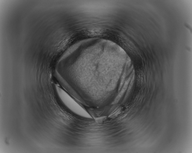 X0000097830700200804041421