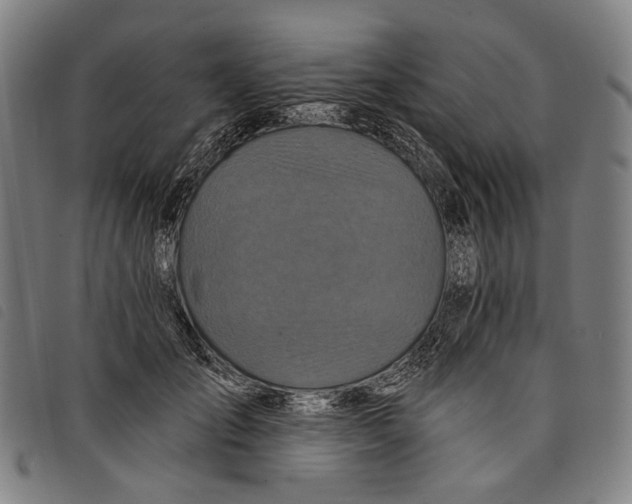 X0000097830701200804041421