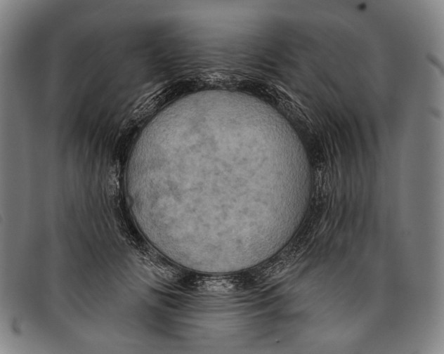 X0000097830702200804041421