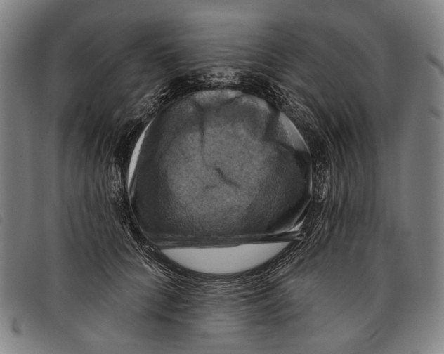 X0000097830704200804041421