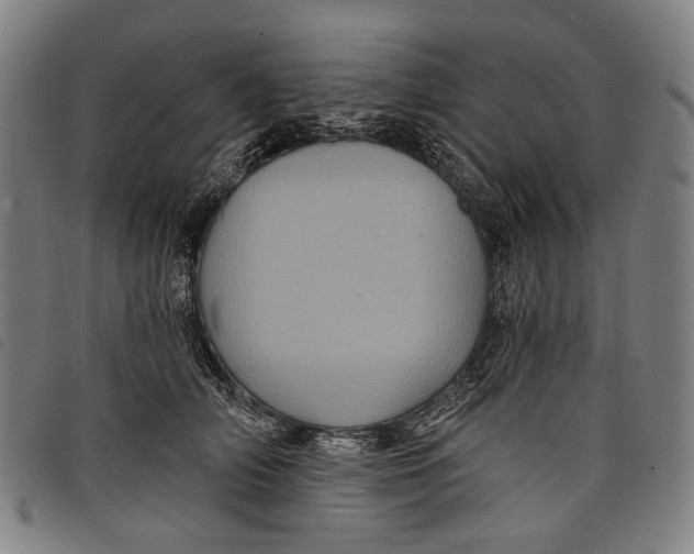 X0000097830706200804041421