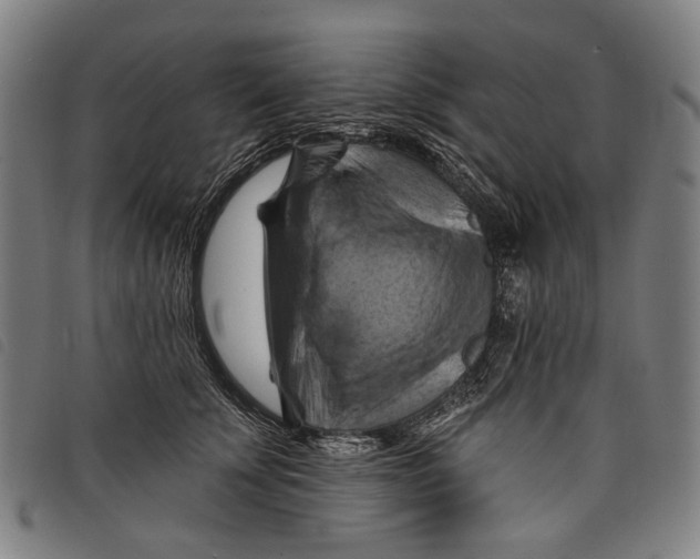 X0000097830707200804041421