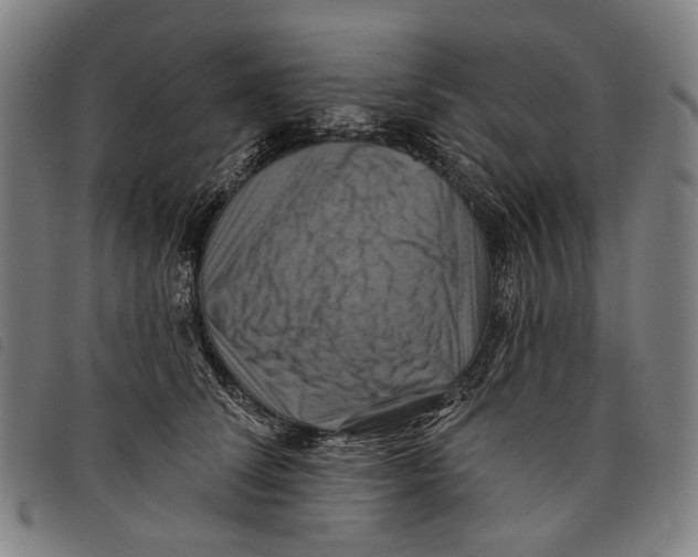 X0000097830708200804041421