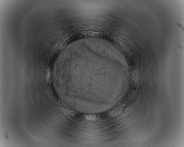 X0000097830709200804041421