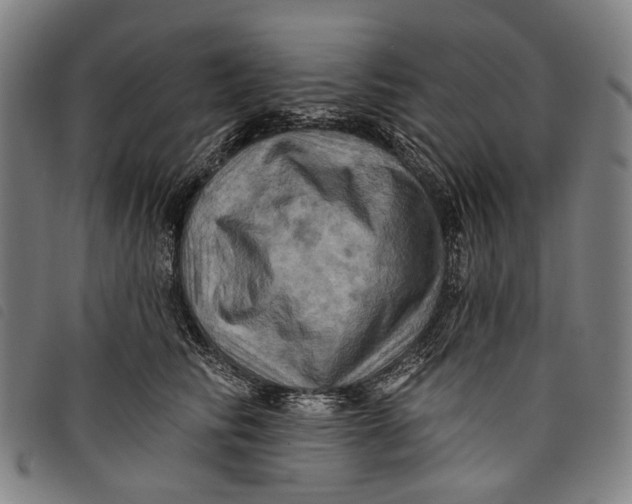 X0000097830710200804041421