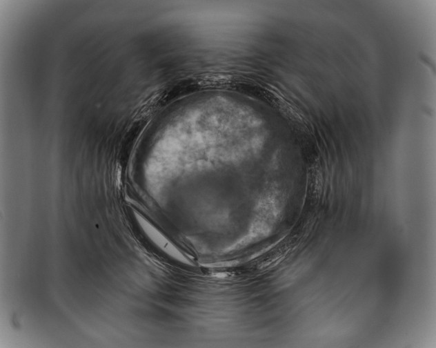 X0000097830711200804041421