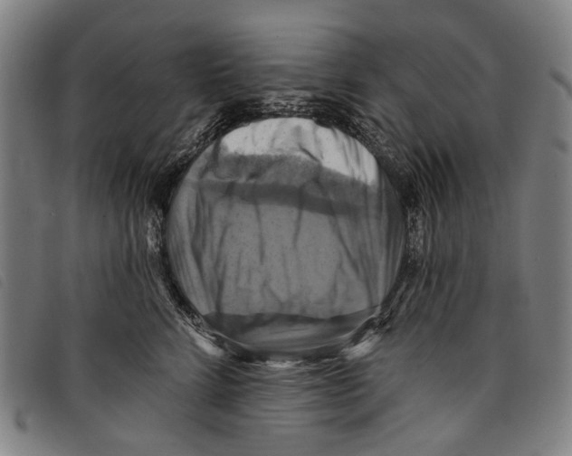 X0000097830712200804041421