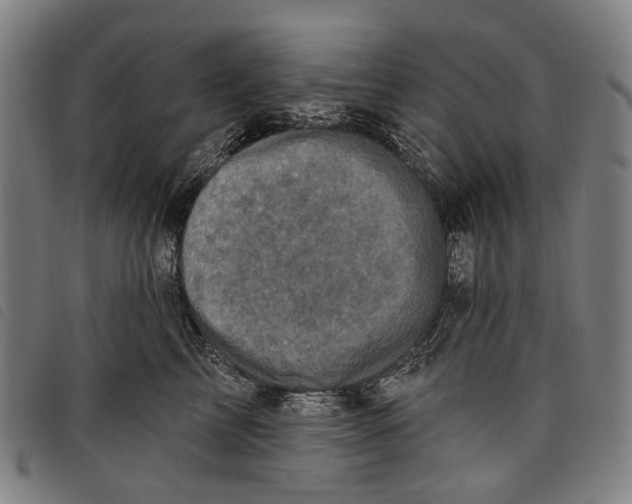 X0000097830713200804041421