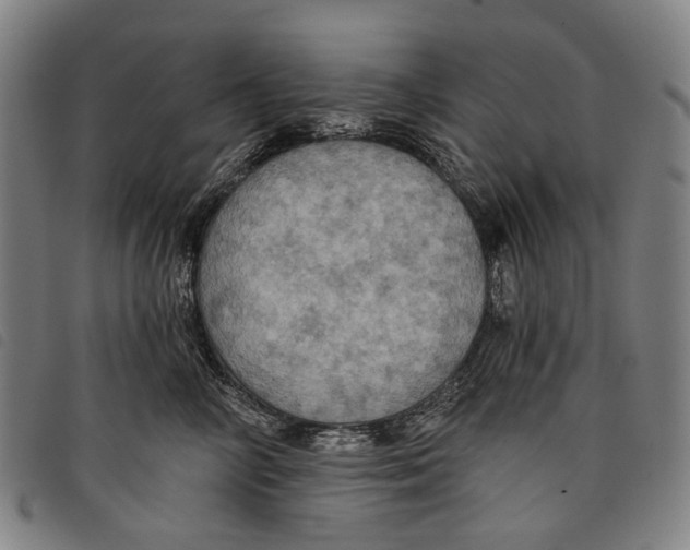 X0000097830714200804041421