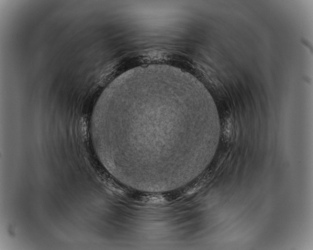 X0000097830715200804041421