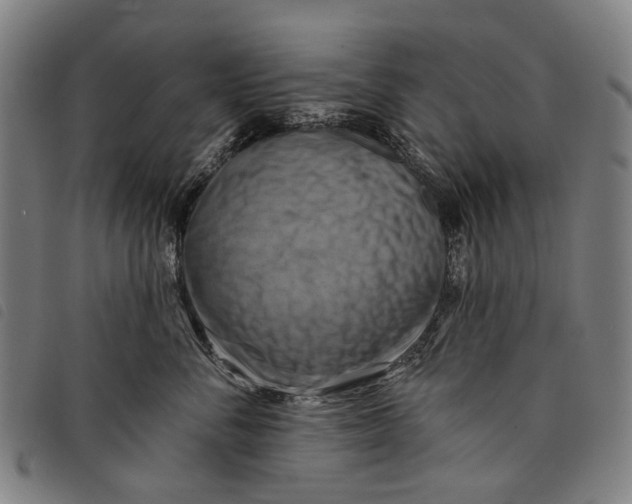 X0000097830716200804041421