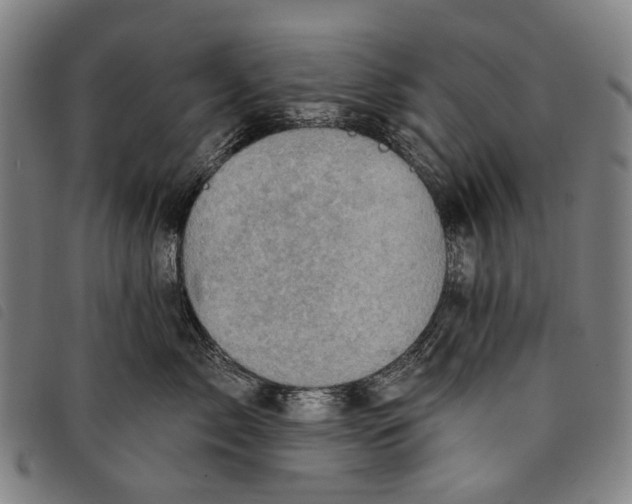 X0000097830717200804041421