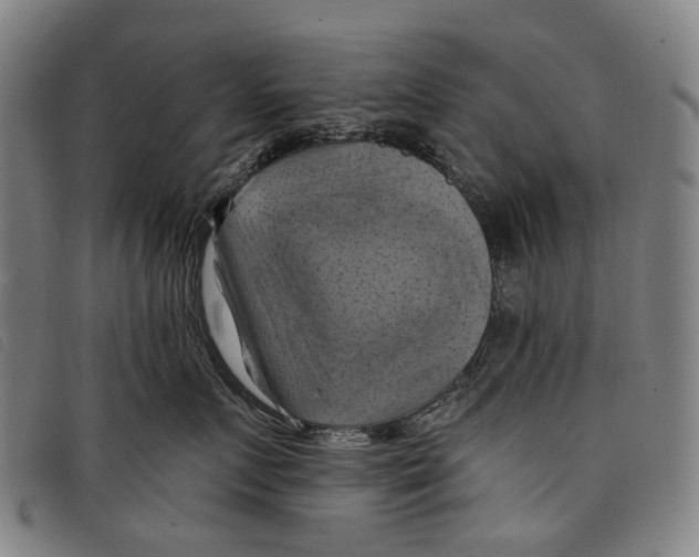 X0000097830719200804041421