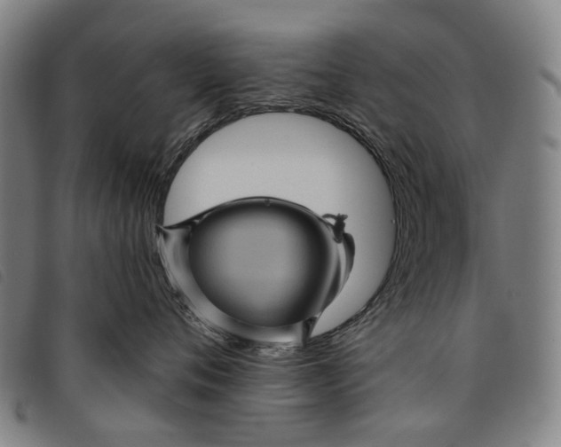 X0000097830720200804041421