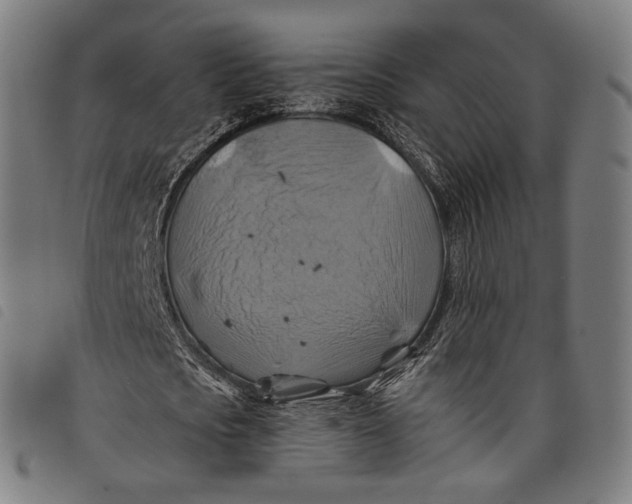 X0000097830721200804041420