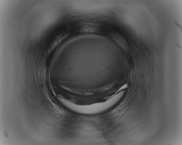 X0000097830722200804041420