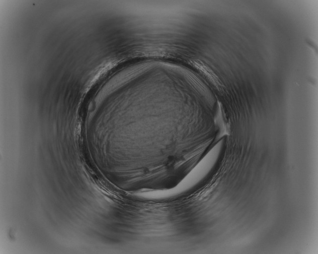 X0000097830723200804041420