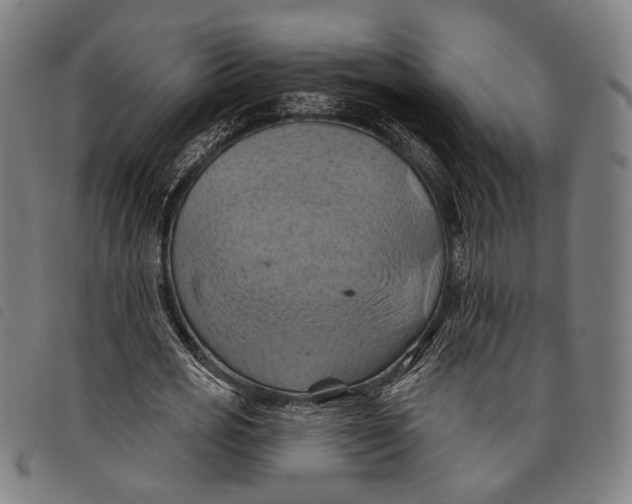 X0000097830725200804041420