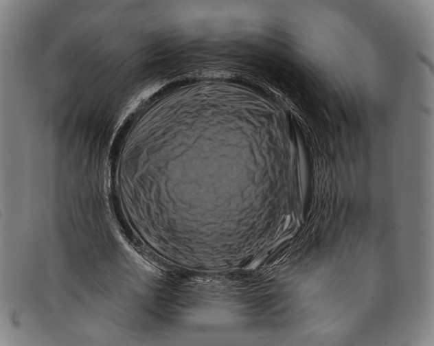 X0000097830726200804041420