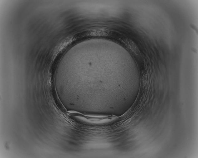 X0000097830727200804041420