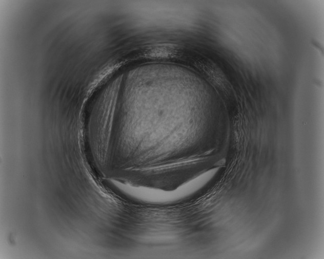 X0000097830728200804041420