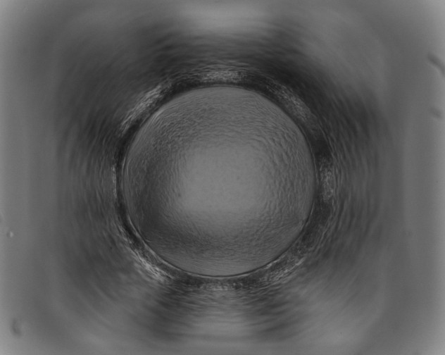 X0000097830729200804041420