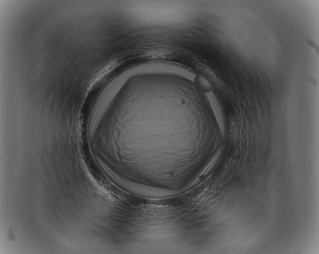 X0000097830730200804041420