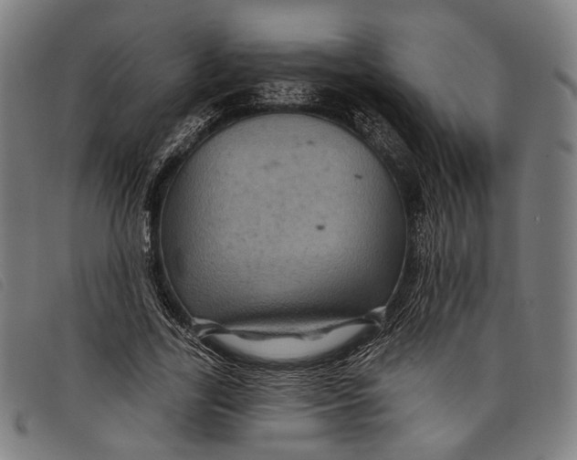 X0000097830731200804041420